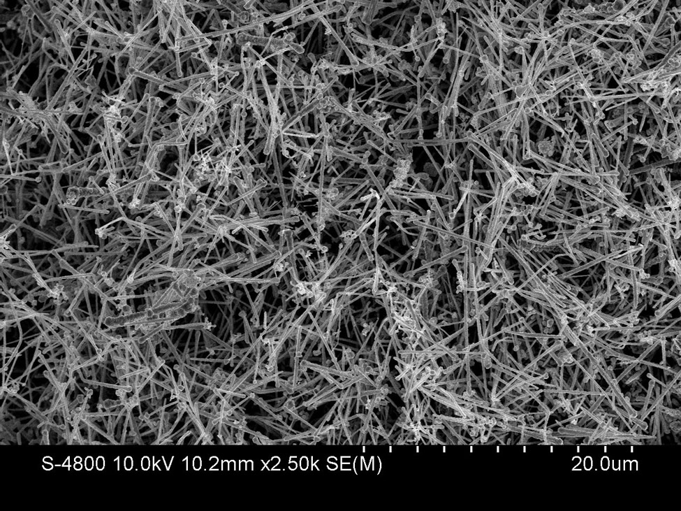 SEM Image of Copper Nanowire in Water -- ACS Material
